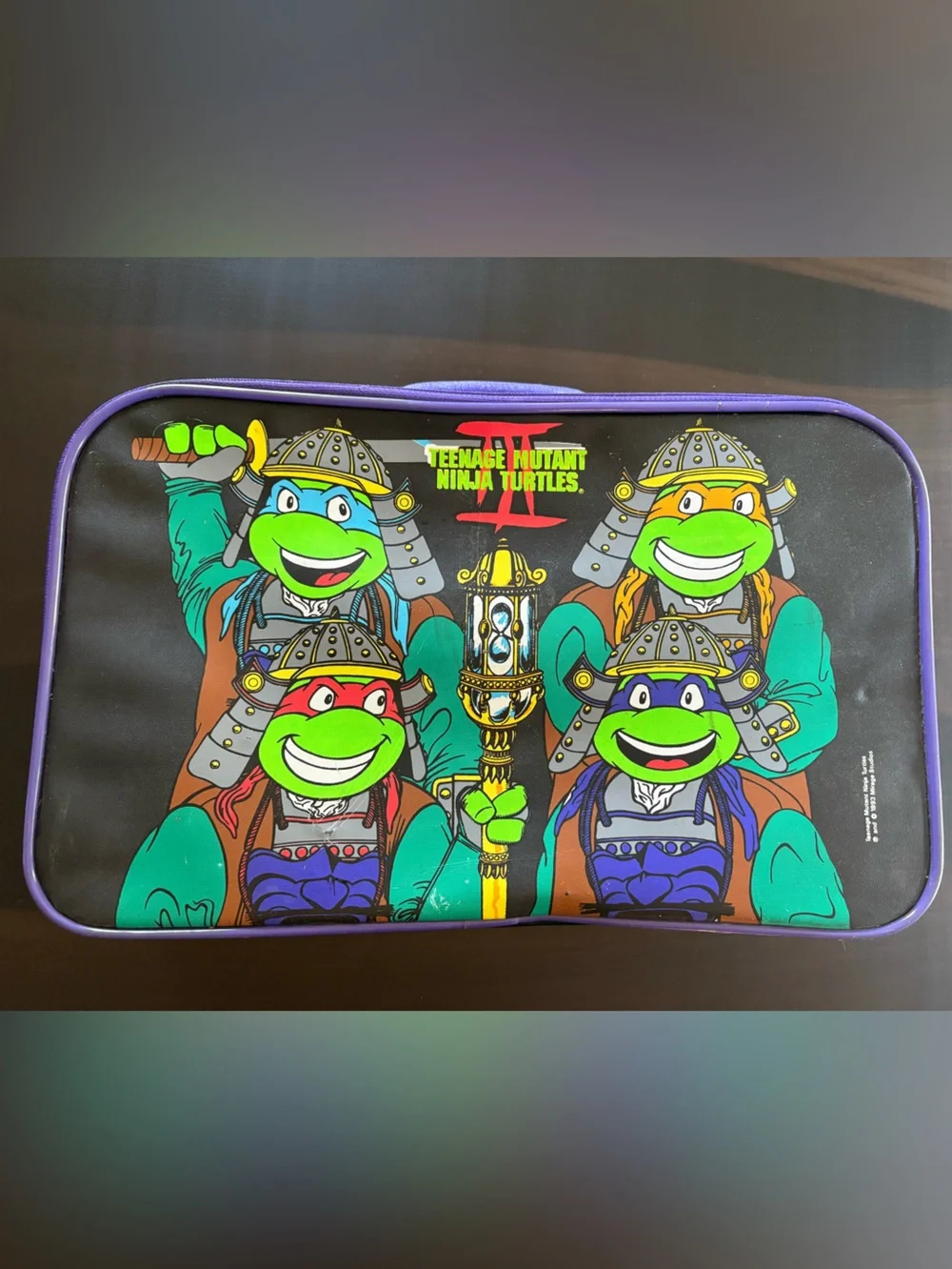 Vintage 1993 Teenage Mutant Ninja Turtles Suitcase
